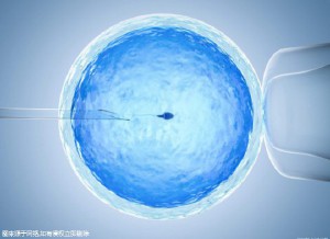 好孕故事